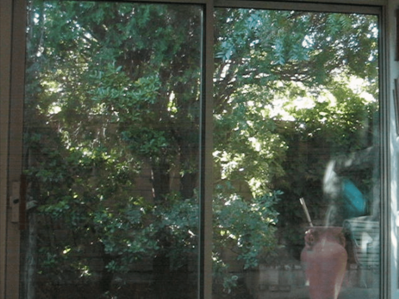 Golden Fox (Short, 5 min, Dec 2023)